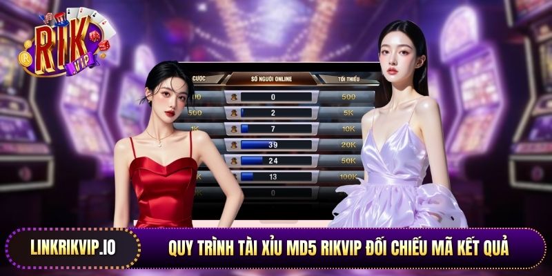 Quy trình tài xỉu MD5 Rikvip đối chiếu mã kết quả trên các công cụ băm dữ liệu