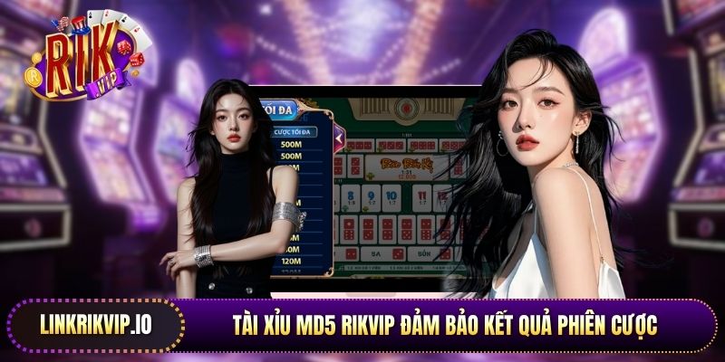 Tài xỉu MD5 Rikvip đảm bảo kết quả phiên cược được thiết lập ngẫu nhiên